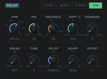 The DELAY module
